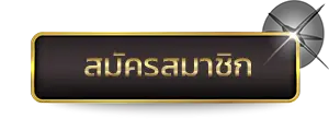 finbeta